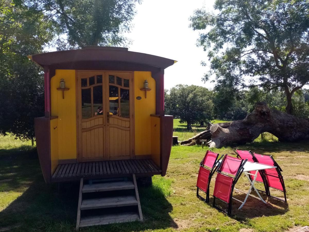 فندق Camping La Bergerie La Chapelle-Achard المظهر الخارجي الصورة